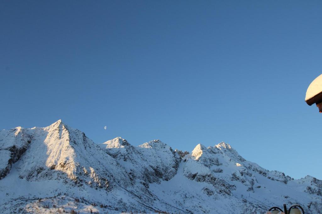 Hotel Residence Dahu Passo del Tonale Ngoại thất bức ảnh